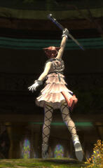 Prepare for the Show!