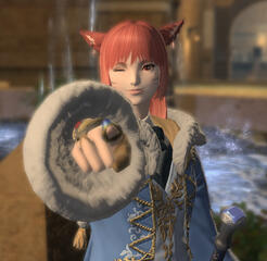 I Want You to Join the Blue Mage Special Force!